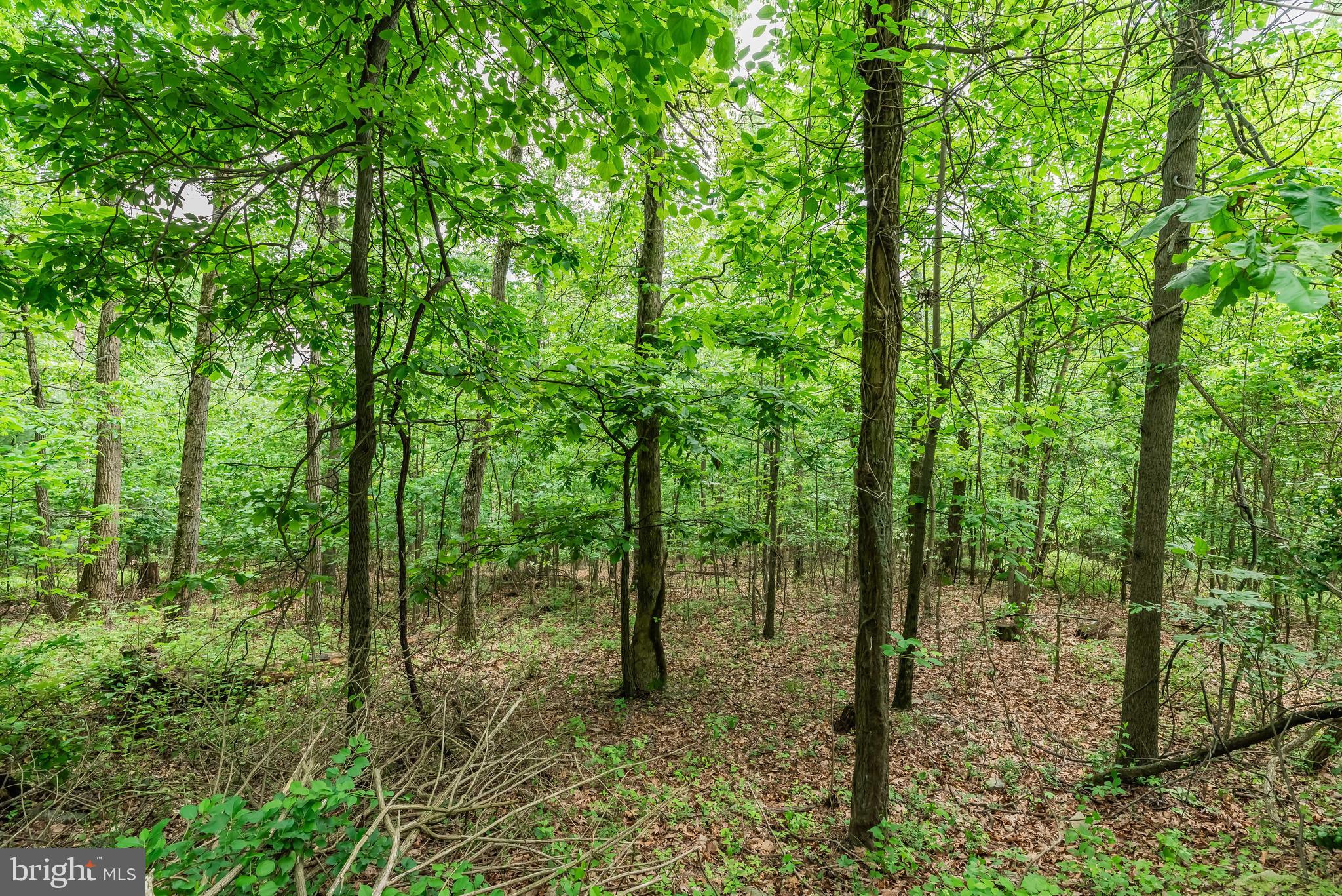 Lot 1 Whiskey Springs Road Boiling Springs, PA 17007 - Photo 16 of 21 Gallery Image 16