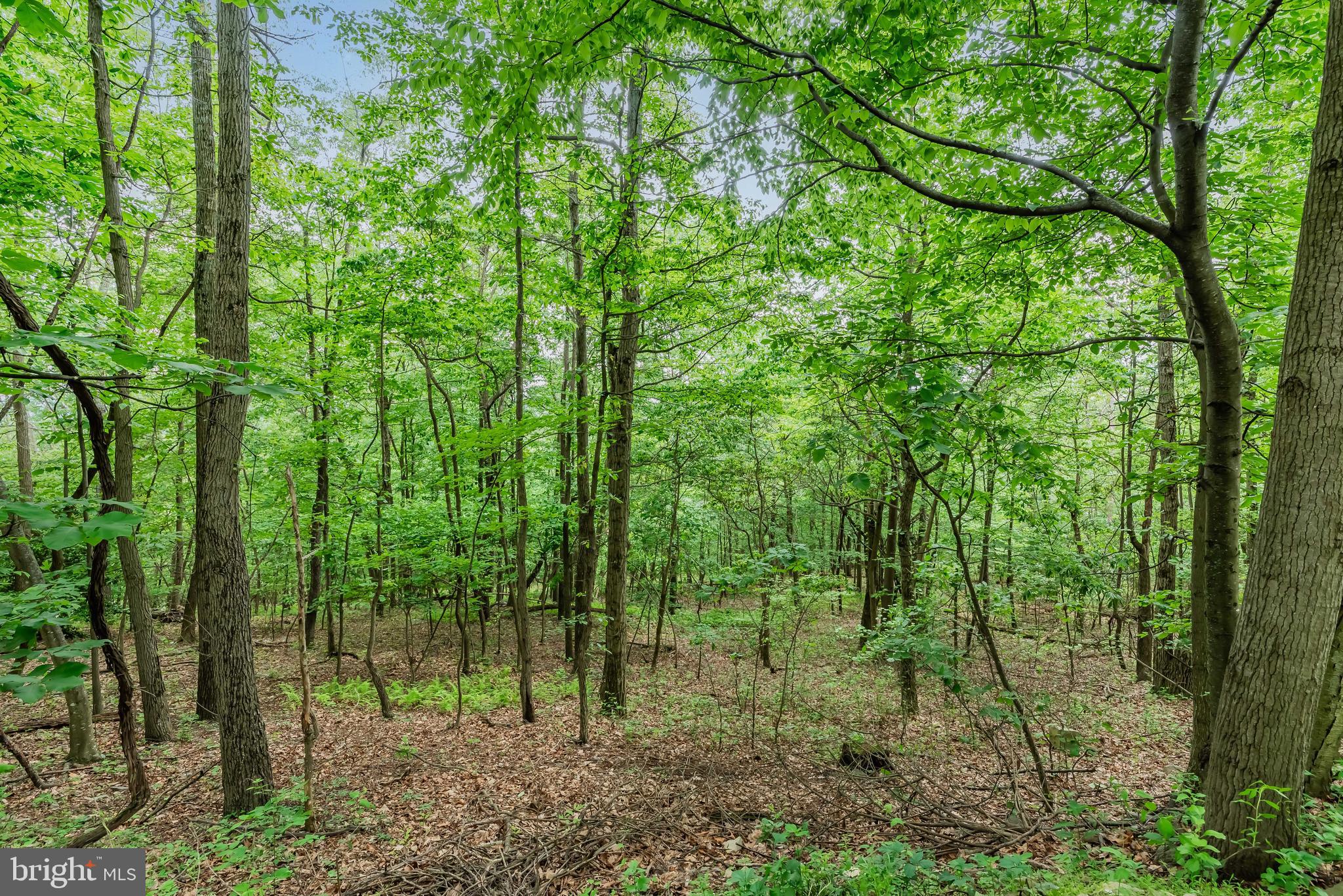 Lot 1 Whiskey Springs Road Boiling Springs, PA 17007 - Photo 17 of 21 Gallery Image 17