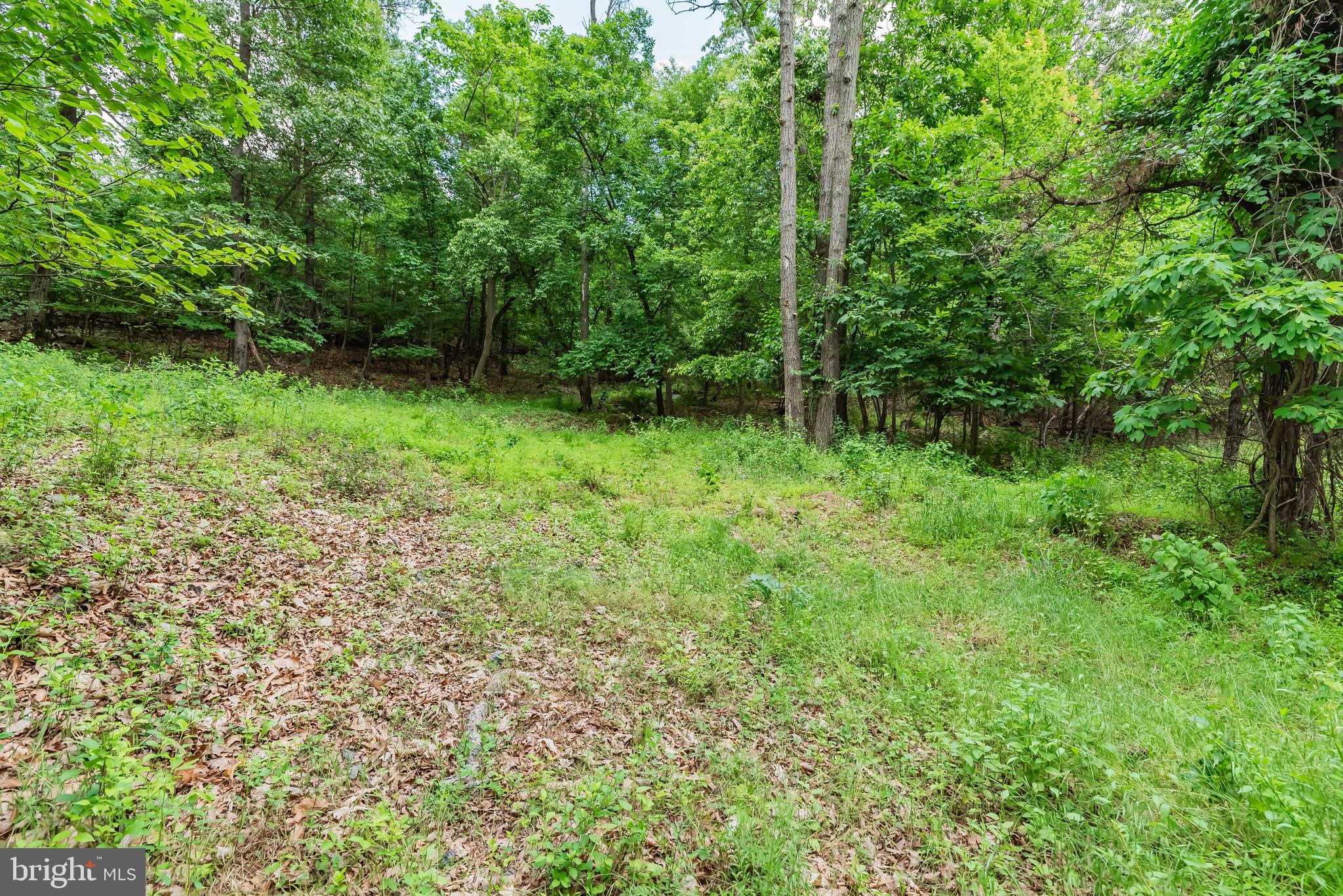 Lot 1 Whiskey Springs Road Boiling Springs, PA 17007 - Photo 18 of 21 Gallery Image 18