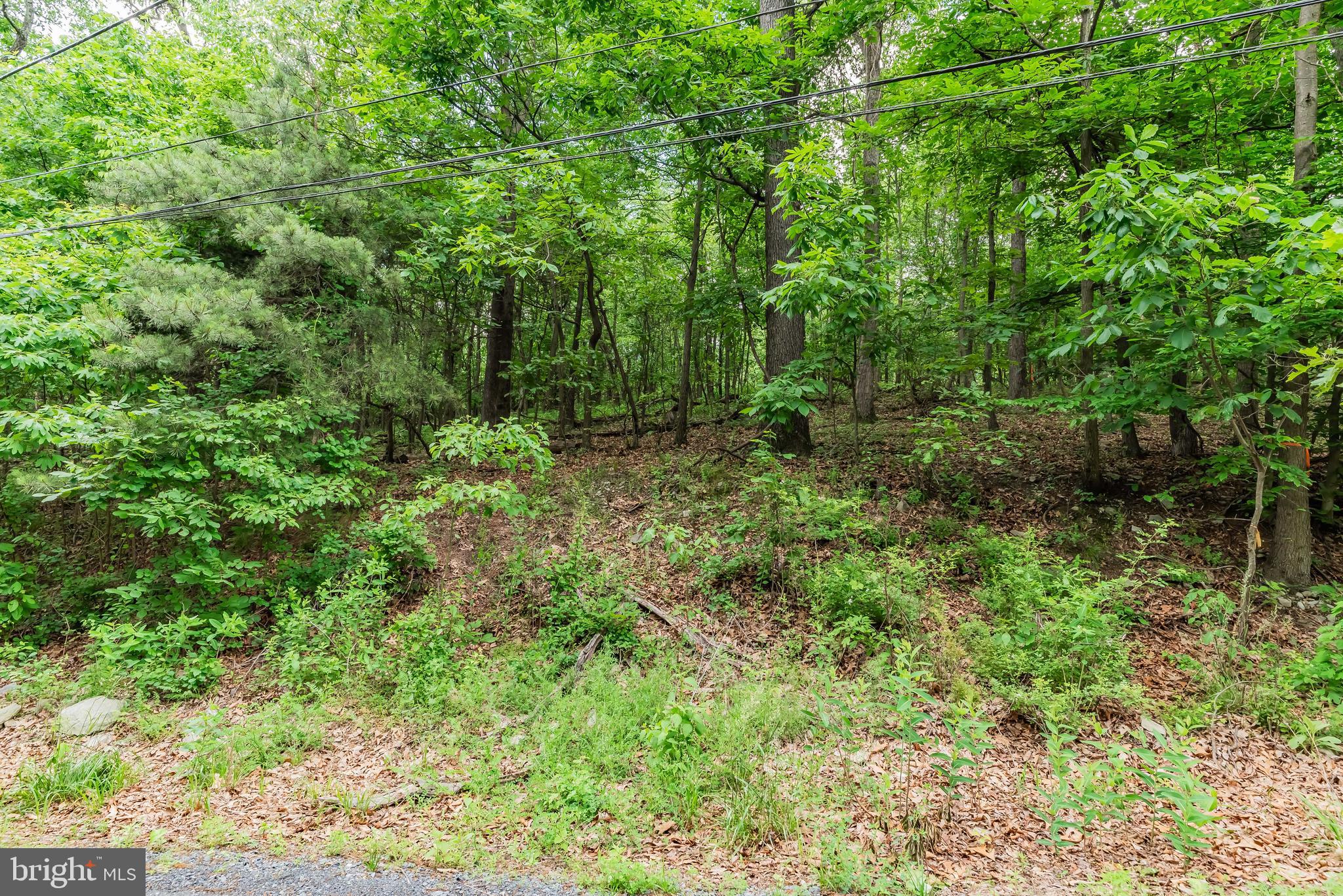Lot 1 Whiskey Springs Road Boiling Springs, PA 17007 - Photo 19 of 21 Gallery Image 19