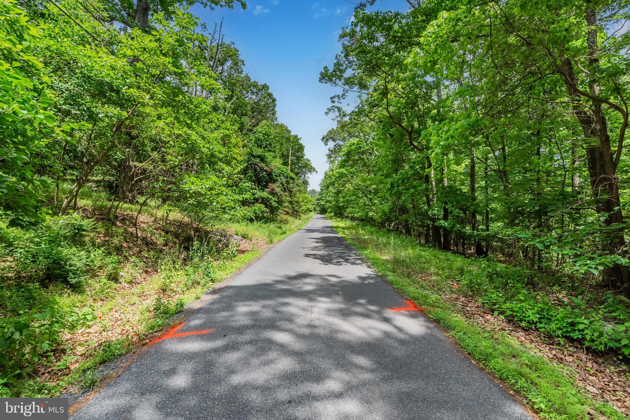 Lot 1 Whiskey Springs Road Boiling Springs, PA 17007 - Photo 20 of 21 Gallery Image 20