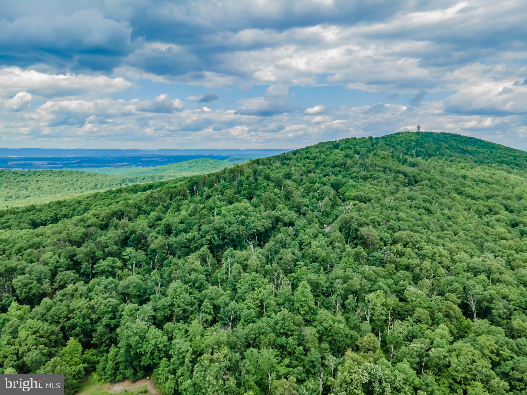 Lot 1 Whiskey Springs Road Boiling Springs, PA 17007 - Photo 2 of 21 Gallery Image 2