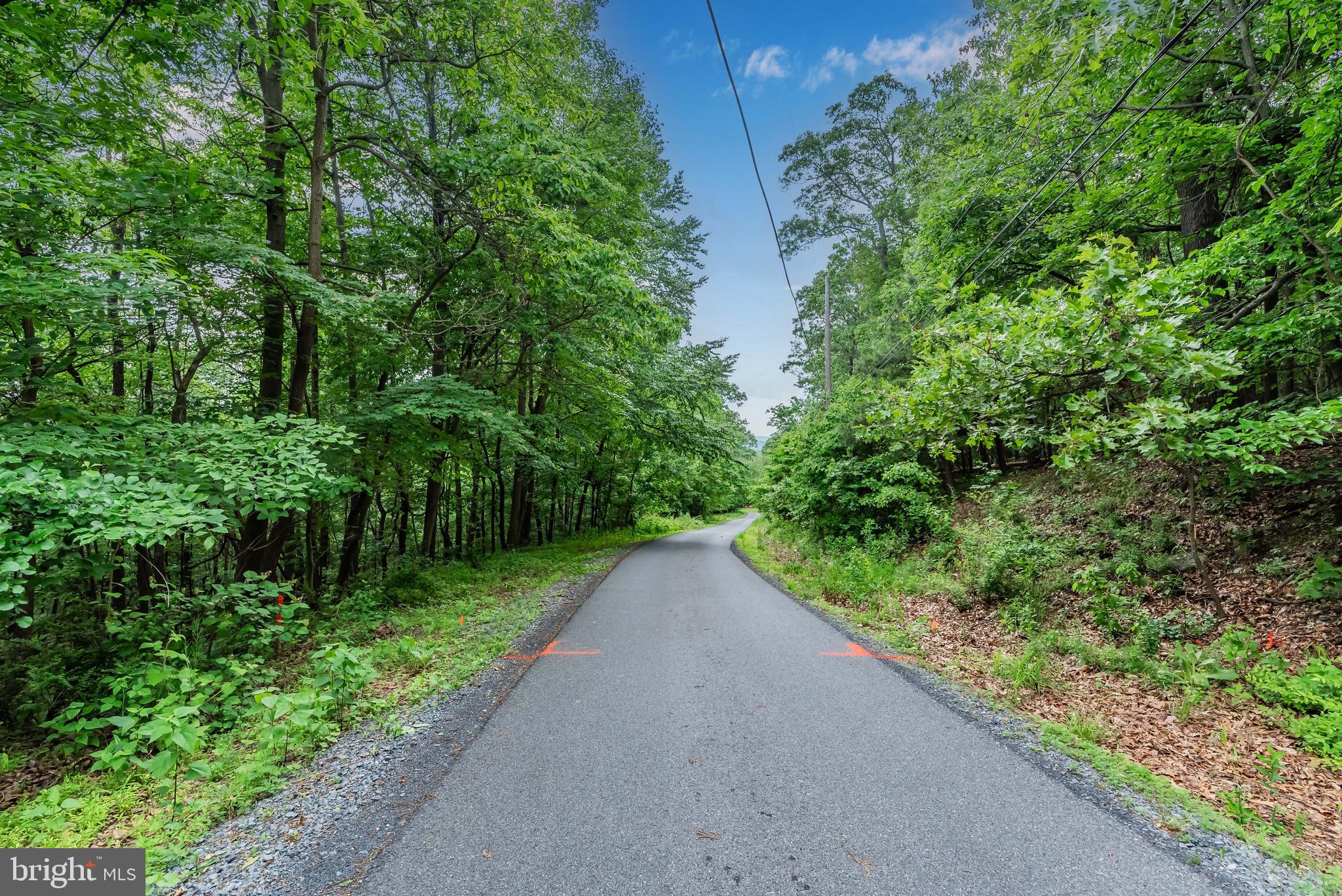 Lot 1 Whiskey Springs Road Boiling Springs, PA 17007 - Photo 21 of 21 Gallery Image 21
