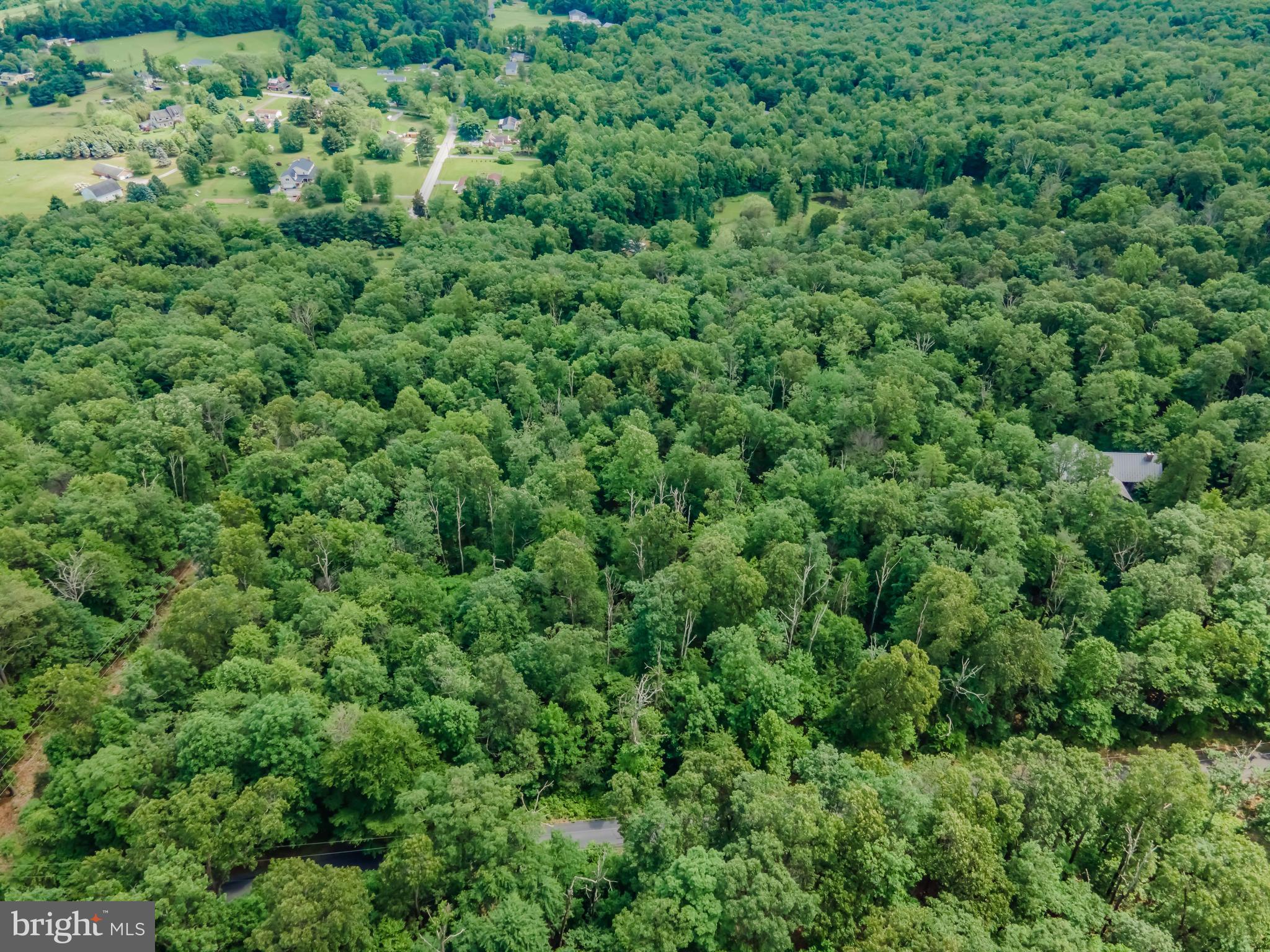 Lot 1 Whiskey Springs Road Boiling Springs, PA 17007 - Photo 6 of 21 Gallery Image 6