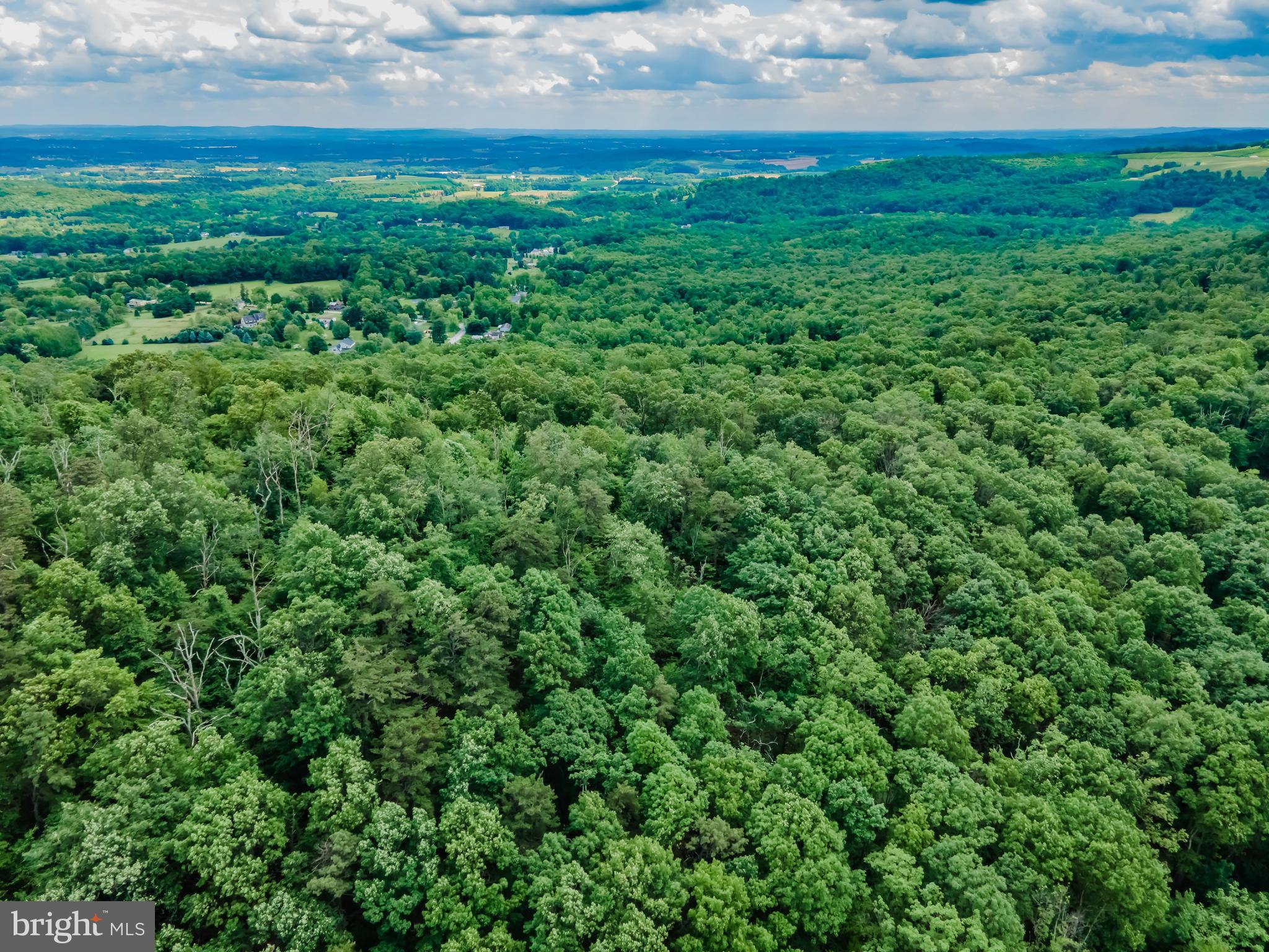Lot 1 Whiskey Springs Road Boiling Springs, PA 17007 - Photo 10 of 21 Gallery Image 10