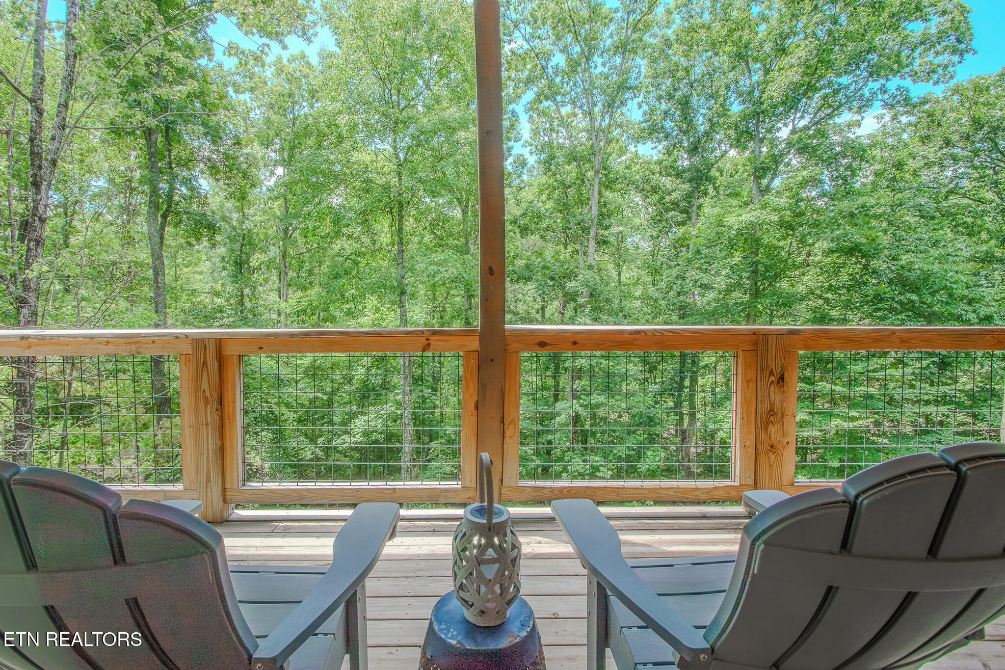 1543 Bear Valley Road Sevierville, TN 37876 - Photo 29 of 48 DSC01455-HDR
