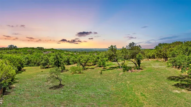 a view of outdoor space with a garden and trees