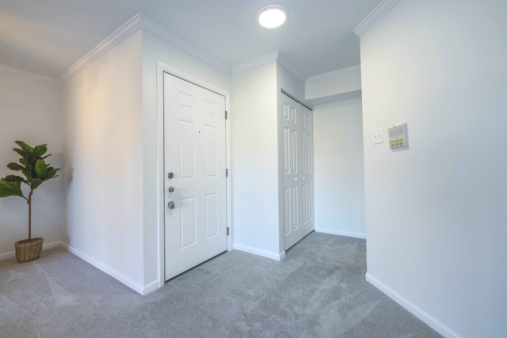 886 Coach Road, Unit 2 Palatine, IL 60074 - Photo 5 of 21 Gallery Image 5