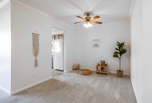 886 Coach Road, Unit 2 Palatine, IL 60074 - Photo 6 of 21 Gallery Image 6