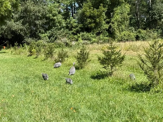 $1,300,000 | 2710 Highway 32, Crawfordsville, IN 47933