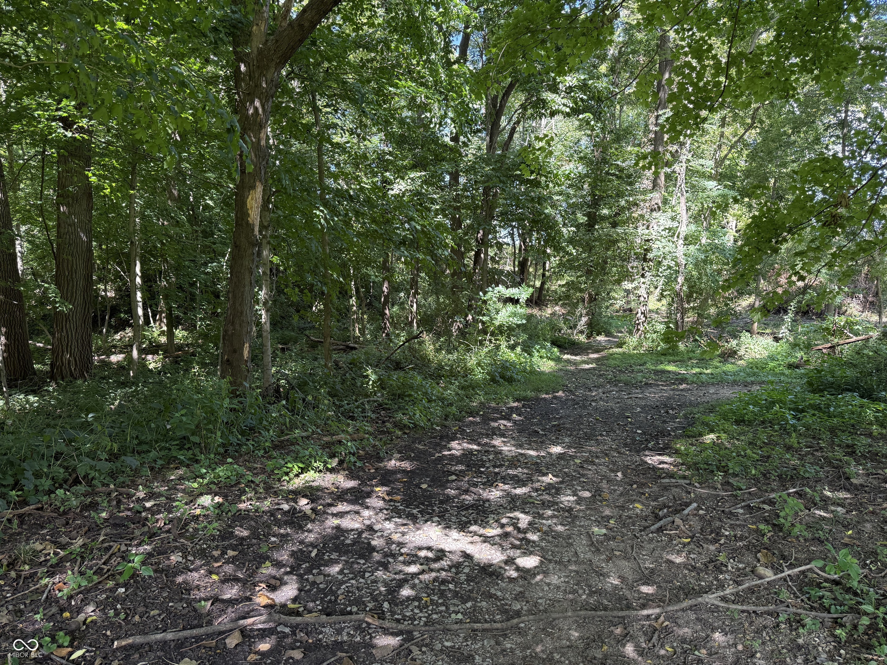 2710 Highway 32 Crawfordsville, IN 47933 - Photo 32 of 50