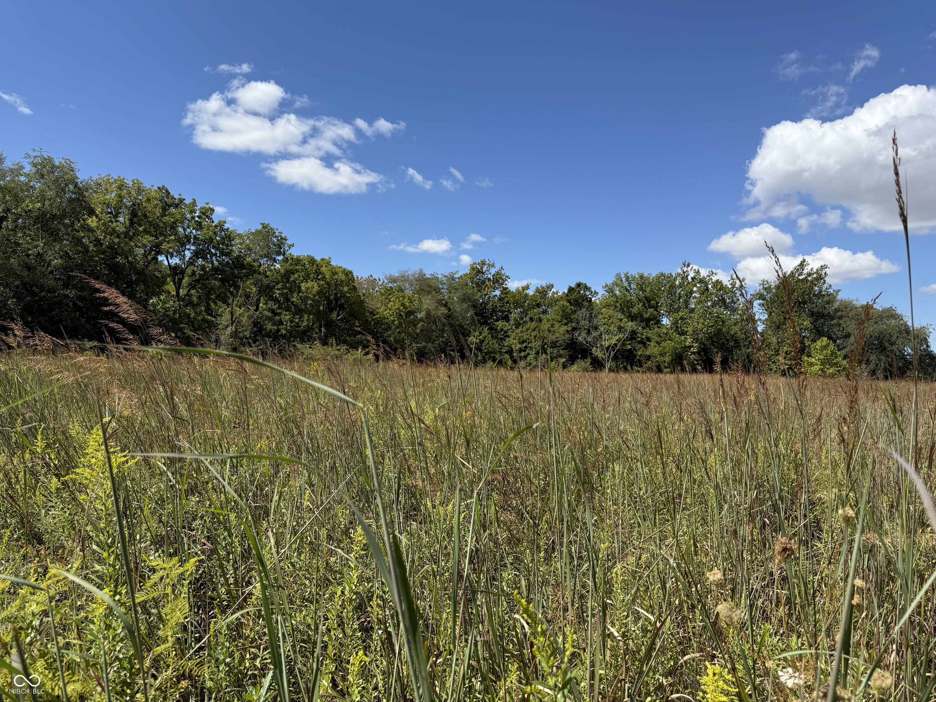 2710 Highway 32 Crawfordsville, IN 47933 - Photo 4 of 50