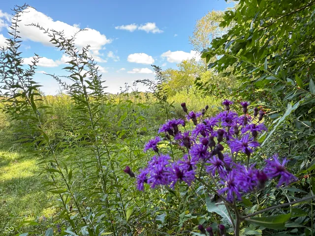 $1,300,000 | 2710 Highway 32, Crawfordsville, IN 47933