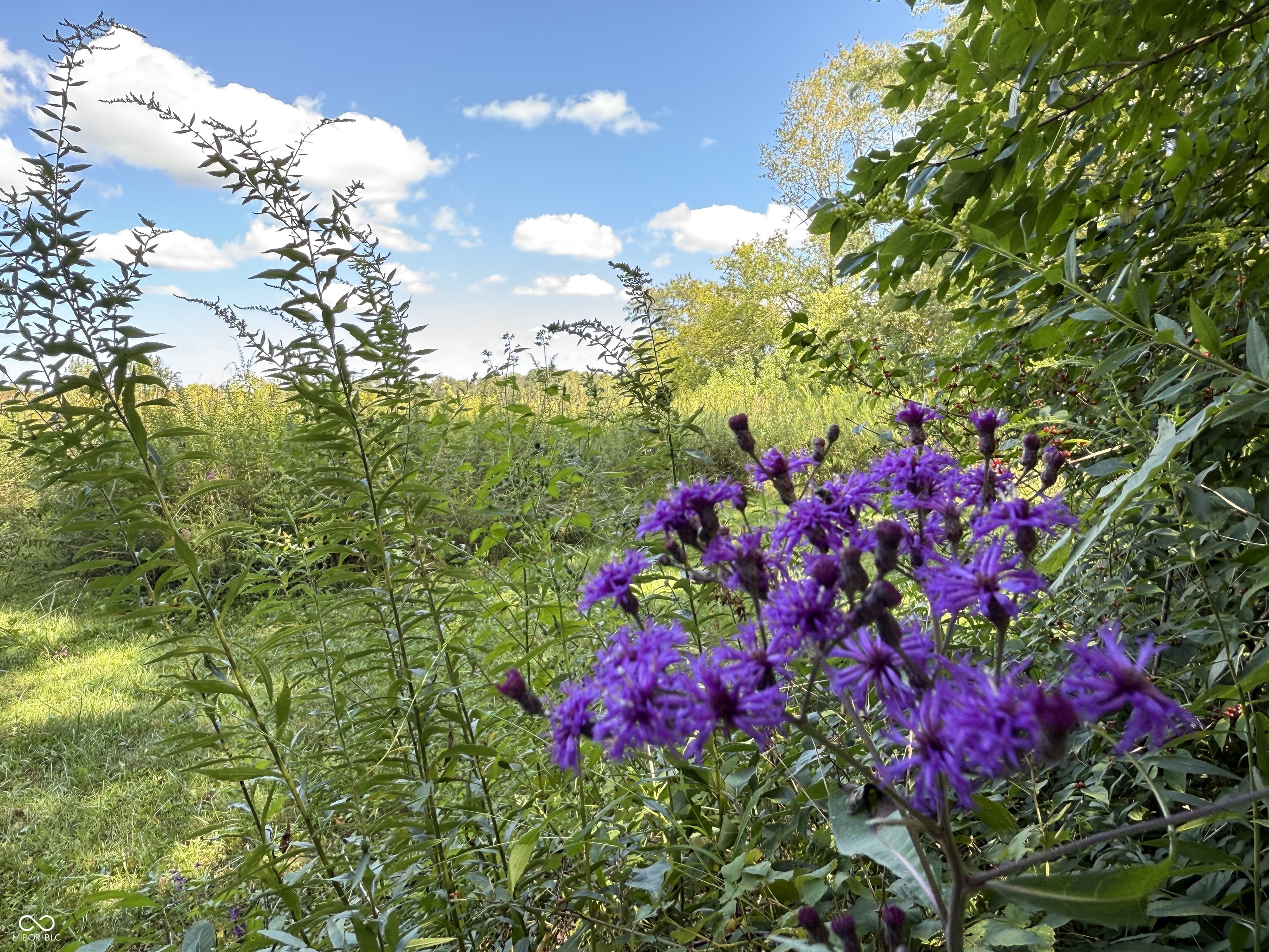 2710 Highway 32 Crawfordsville, IN 47933 - Photo 44 of 50