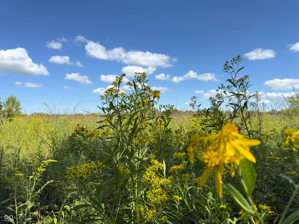 $1,300,000 | 2710 Highway 32, Crawfordsville, IN 47933