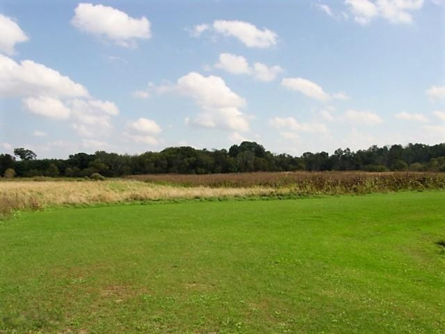 0 Cr 352 Decatur Mi 49045 Decatur, MI 49045 - Photo 4 of 5 Land