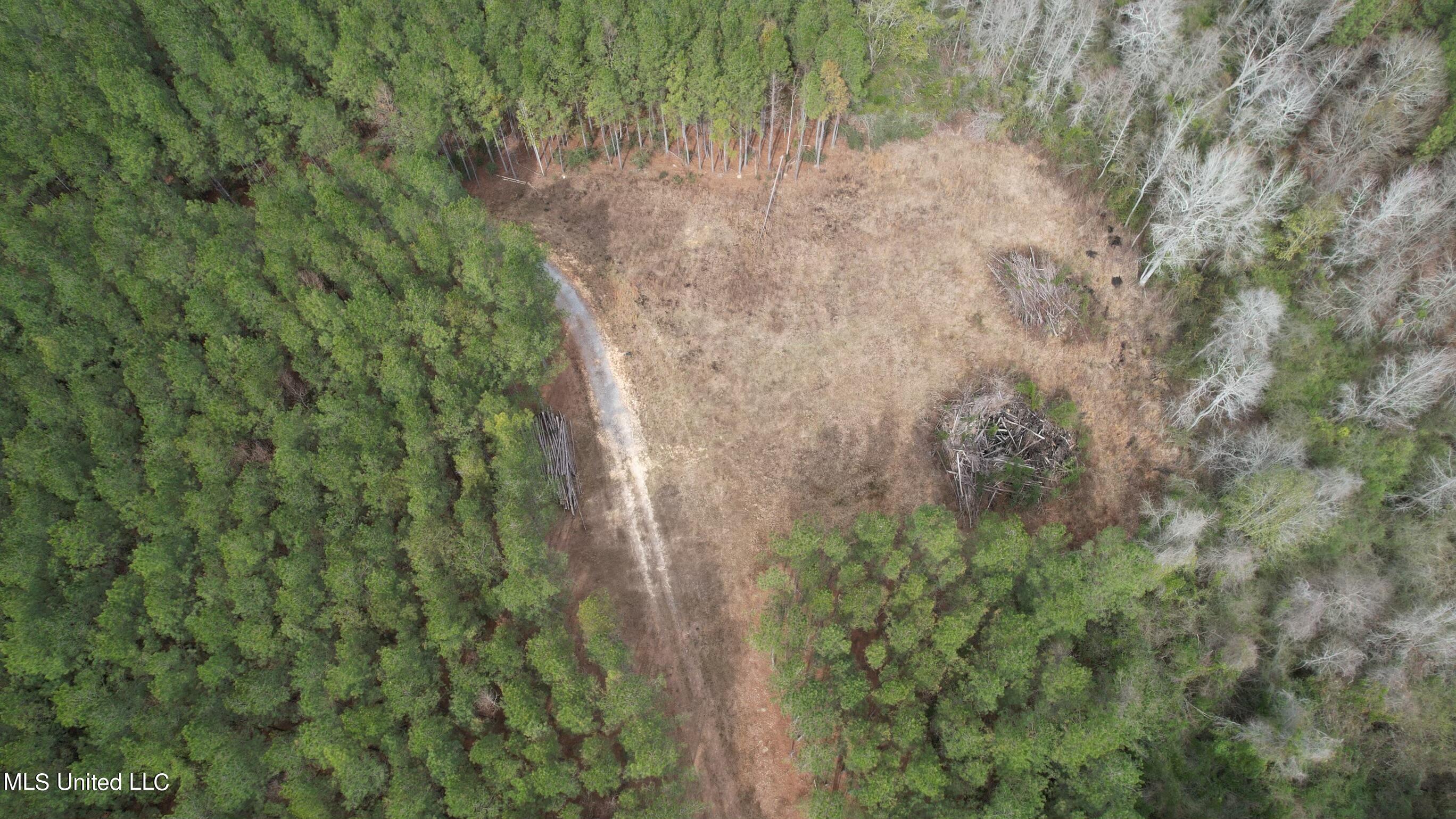 Tba Sand Hill Road Ellisville, MS 39437 - Photo 4 of 9 dji_fly_20240218_113710_468_170827837691