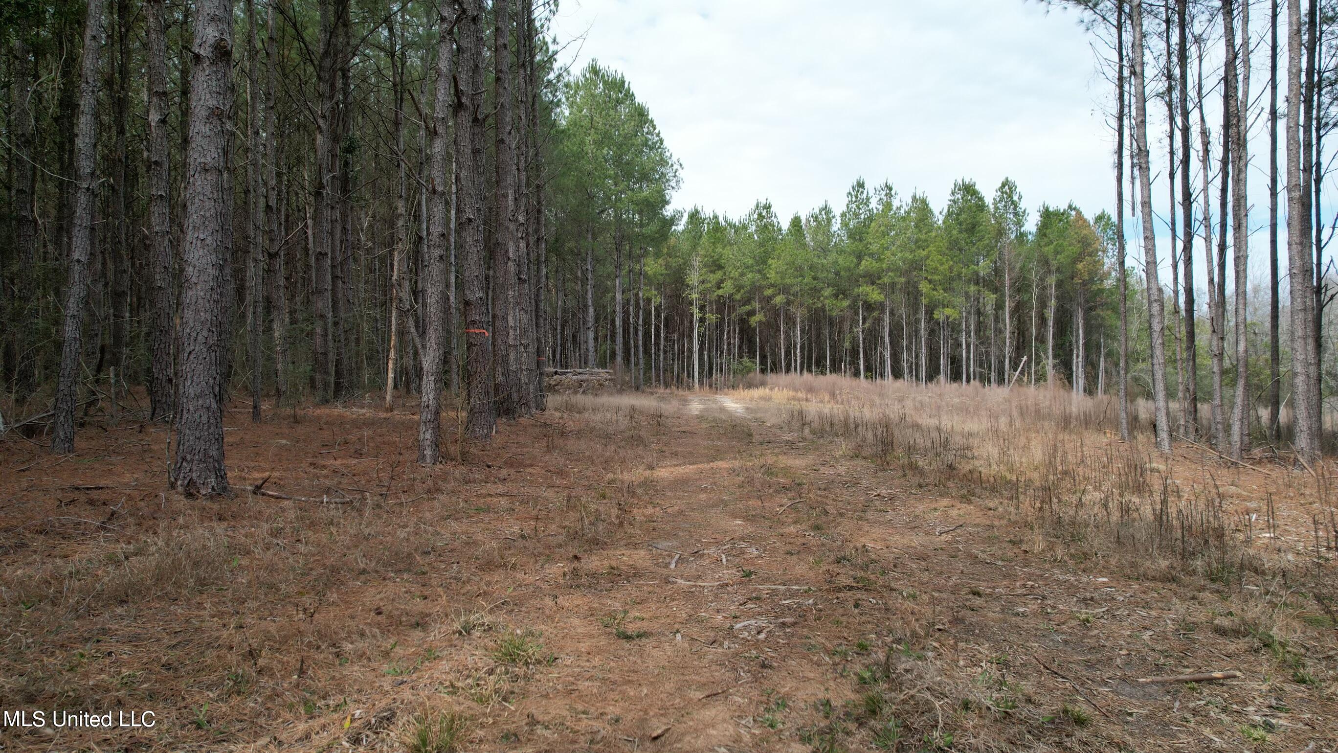 Tba Sand Hill Road Ellisville, MS 39437 - Photo 6 of 9 dji_fly_20240218_113632_467_170827835061