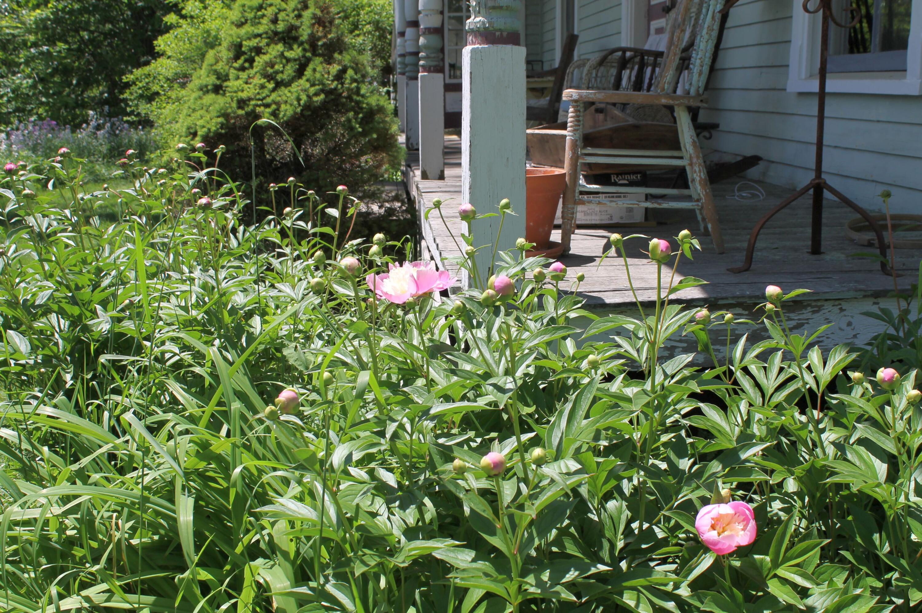 1 Jewell Street Brooks, ME 04921 - Photo 22 of 25 Garden