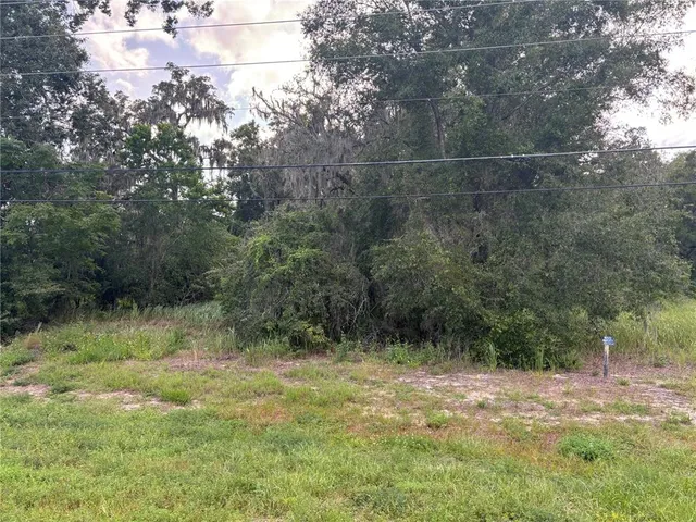 $750,000 | 301 Us Highway, Belleview, FL 34420