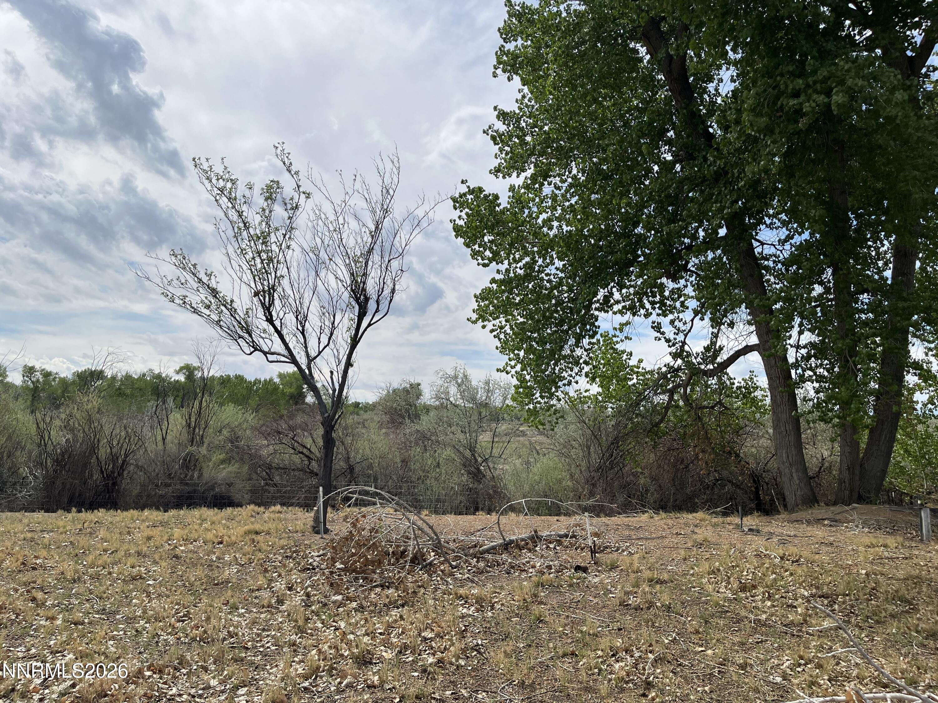1833 Rice Road Fallon, NV 89406 - Photo 10 of 10 IMG_6068