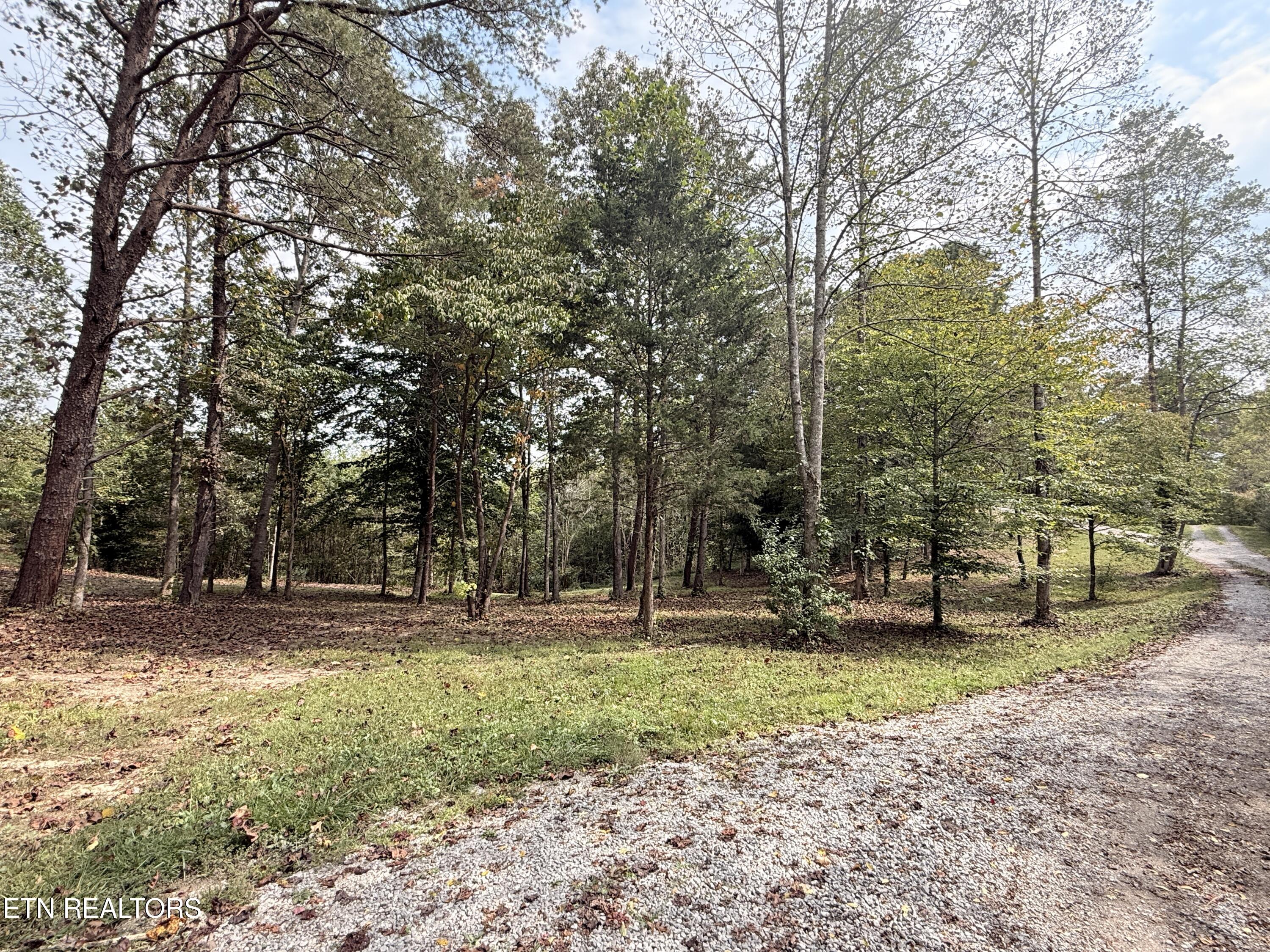 444 Roses Creek Road Clairfield, TN 37715 - Photo 24 of 48 Lower Property