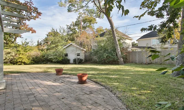 a view of a backyard with plants and trees