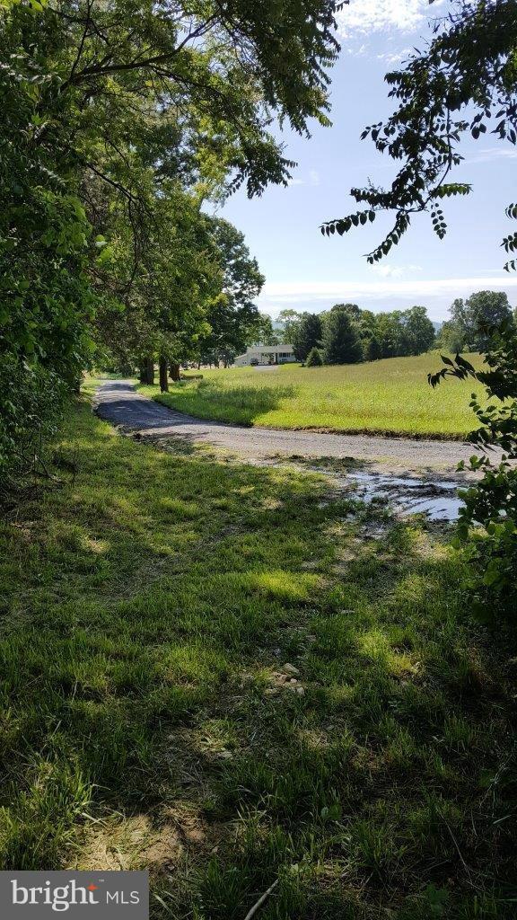 0 Rittenour Road Edinburg, VA 22824 - Photo 11 of 12 a view of a field of grass and a tree