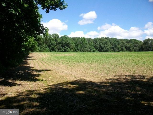 0 Rittenour Road Edinburg, VA 22824 - Photo 5 of 12 a view of an ocean and beach