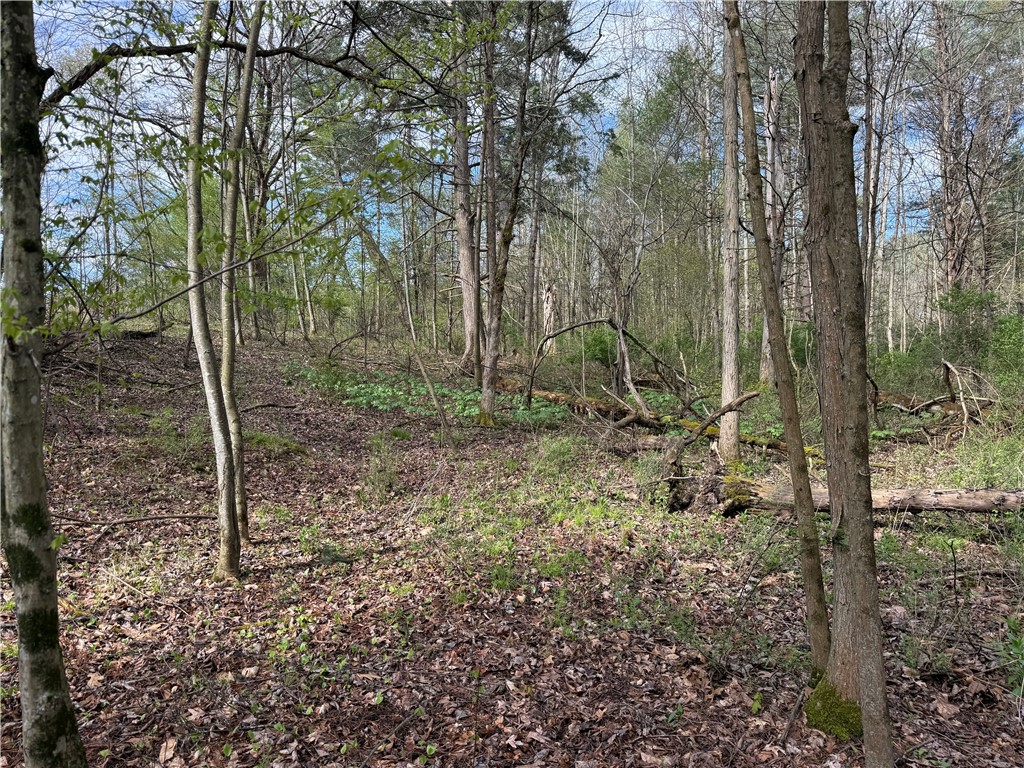 9155 Smith Road Lindley, NY 14870 - Photo 12 of 33