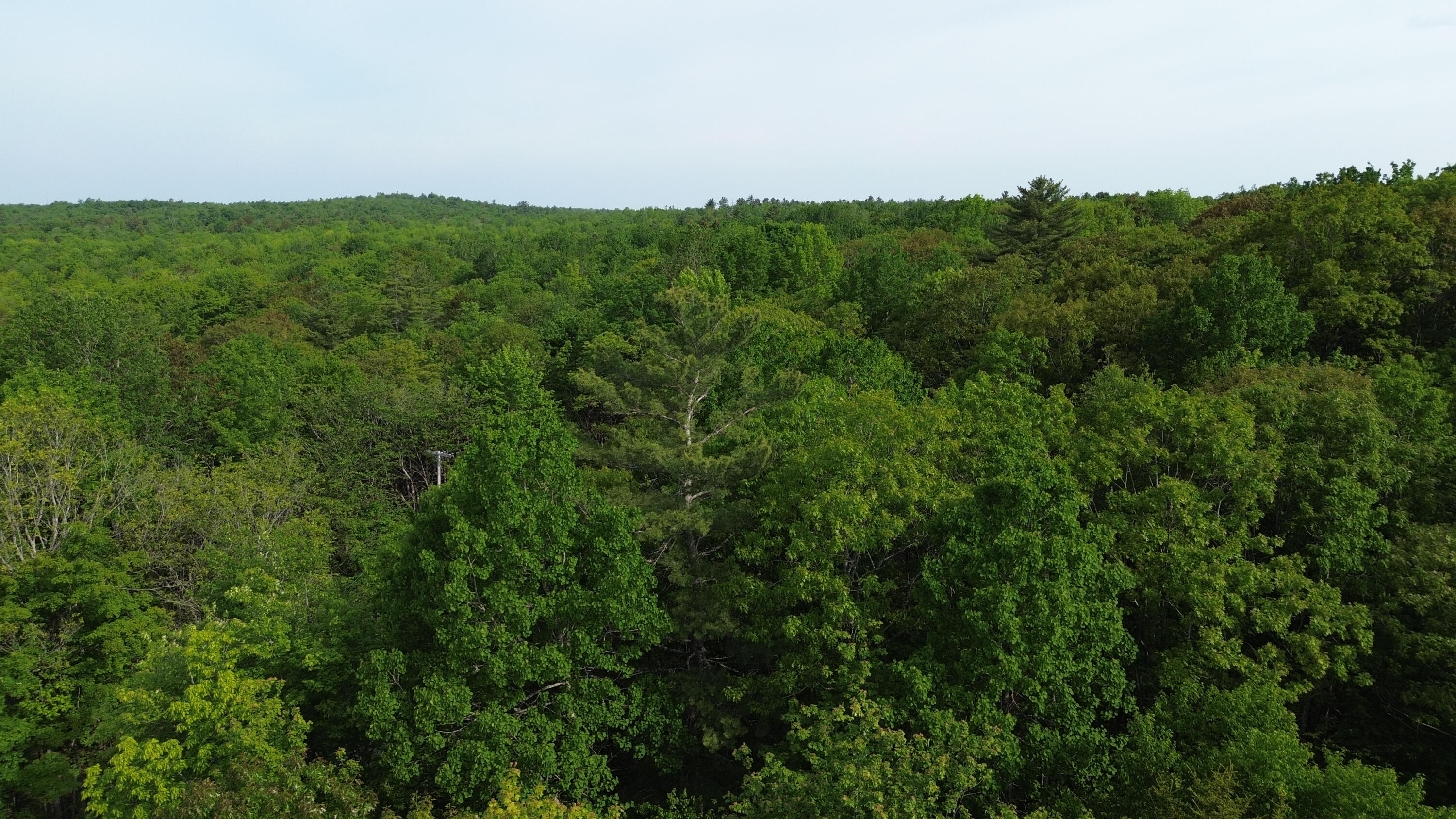M5-l16 Clark Road Prospect, ME 04981 - Photo 7 of 45 DJI_0132