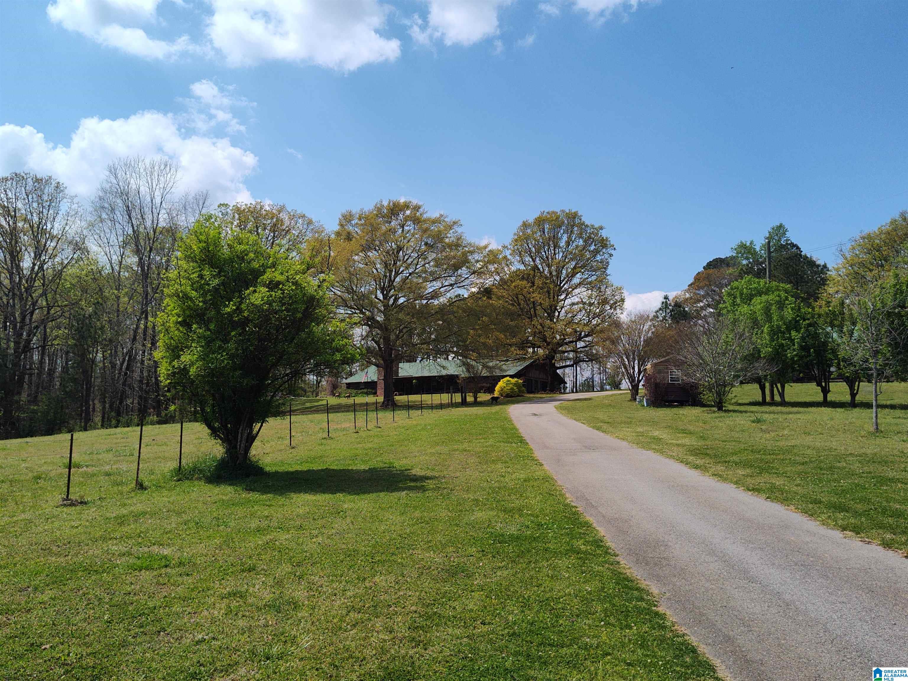 75 Mary Lee Lane Alpine, AL 35014 - Photo 7 of 77