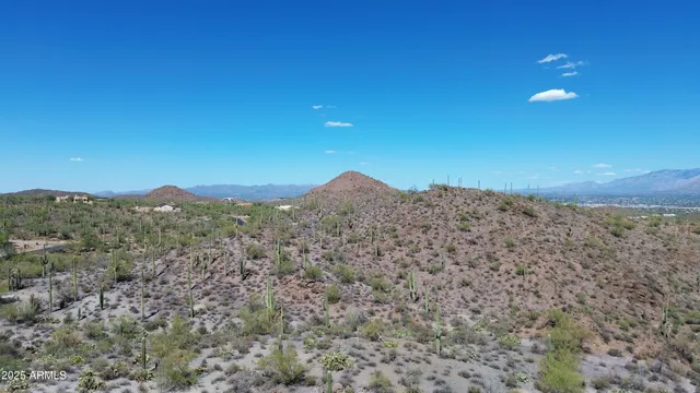 a view of a lush green outdoor space with a lake view