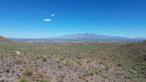 a view of a large tree with a mountain in the background