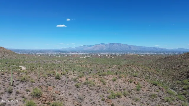 a view of a large tree with a mountain in the background