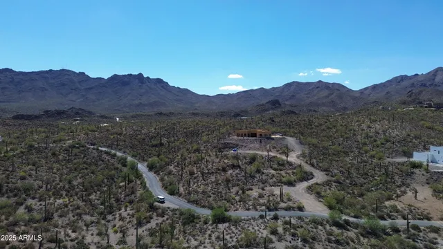 a view of a dry yard