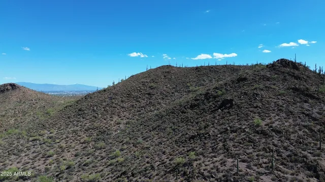 a view of a large trees with sky view
