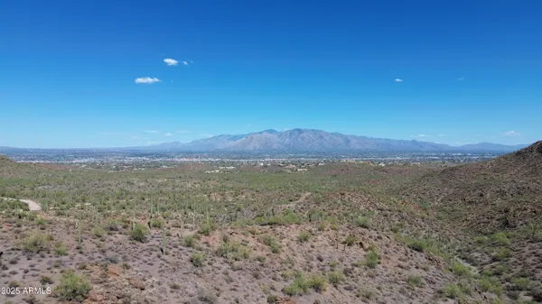 a view of a large trees with lots of trees in it