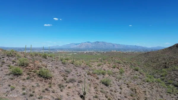 a view of a large trees with mountains in the background