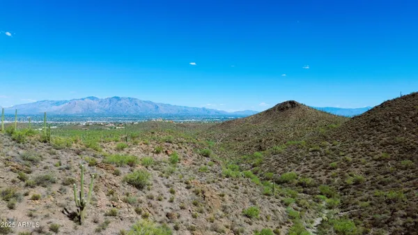 a view of a large tree with a mountain in the background
