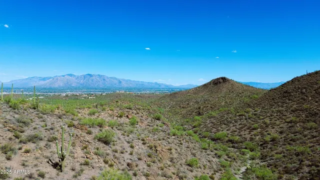 a view of a large tree with a mountain in the background