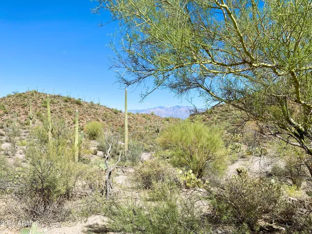 a view of a yard with a tree