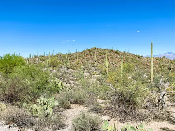 a view of a back yard of the house