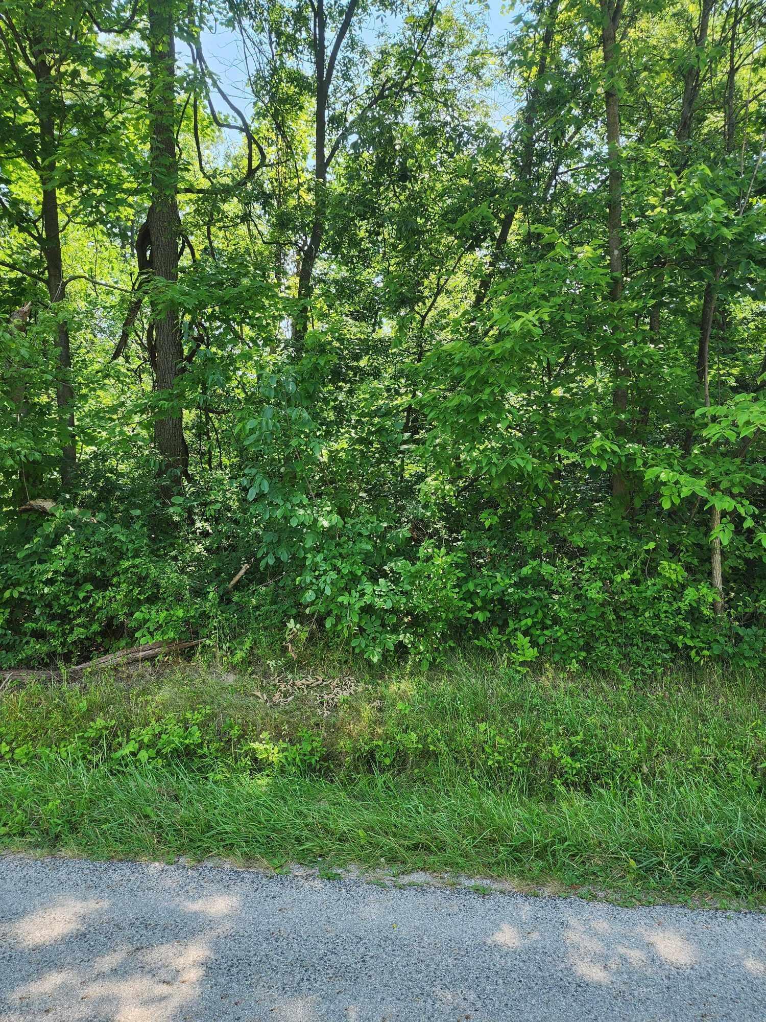0 Grove Road Northeast Thornville, OH 43076 - Photo 1 of 29 Grove land3