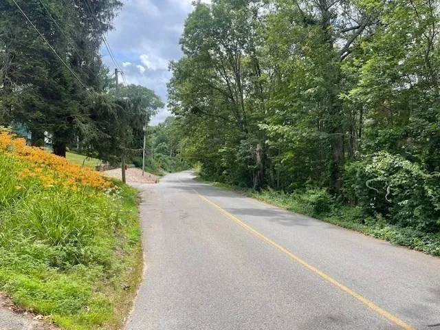 a view of a yard with plants and a trees