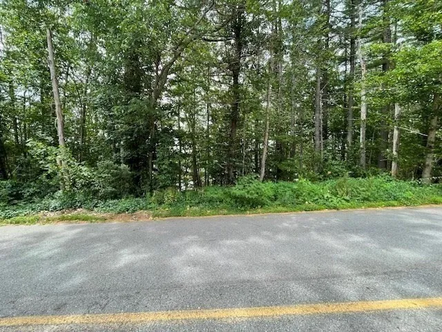 a view of a garden with potted plants