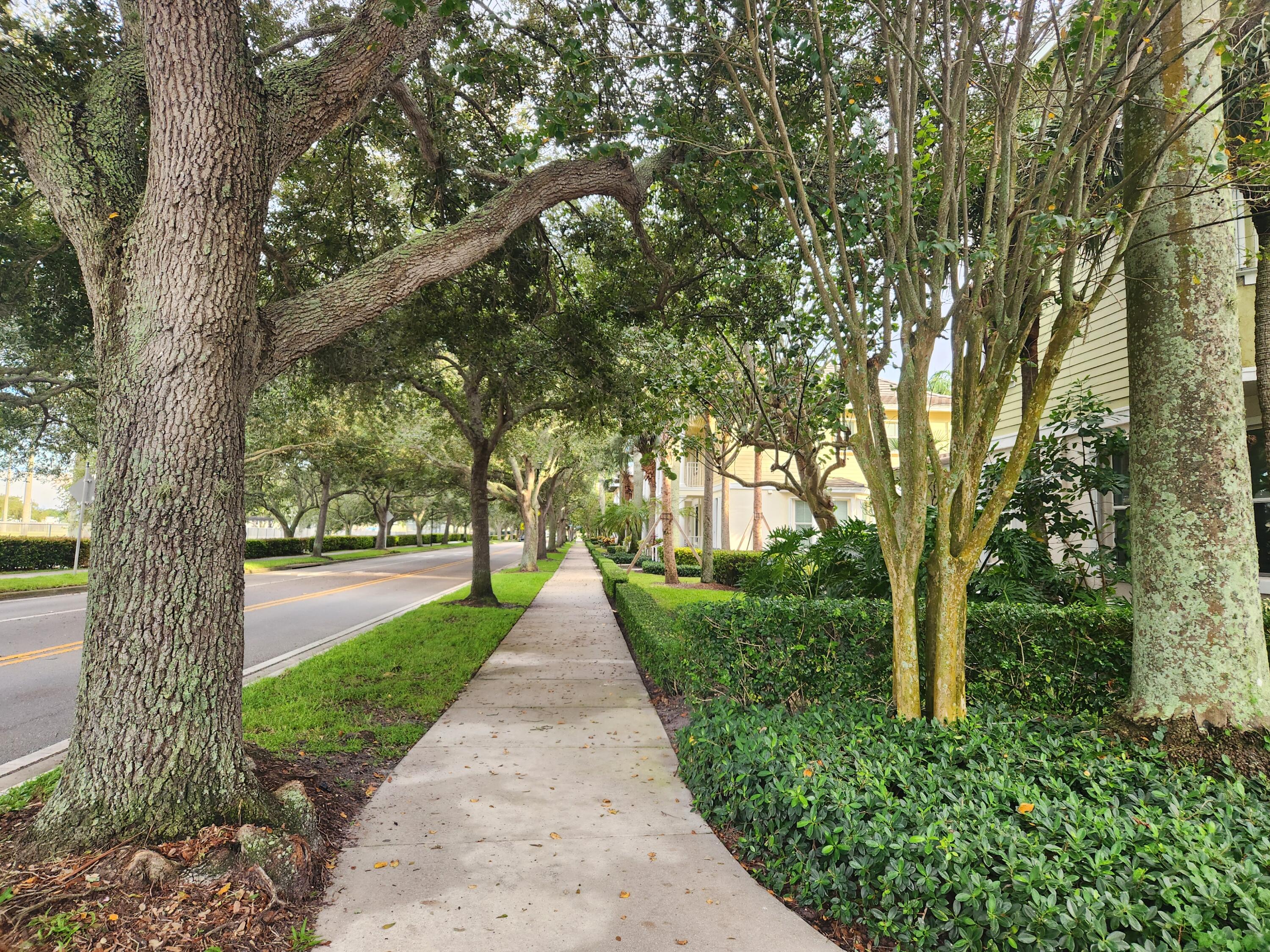 1480 Frederick Small Road Jupiter, FL 33458 - Photo 42 of 45 1480 Frederick small Abacoa SIDE YARD ST