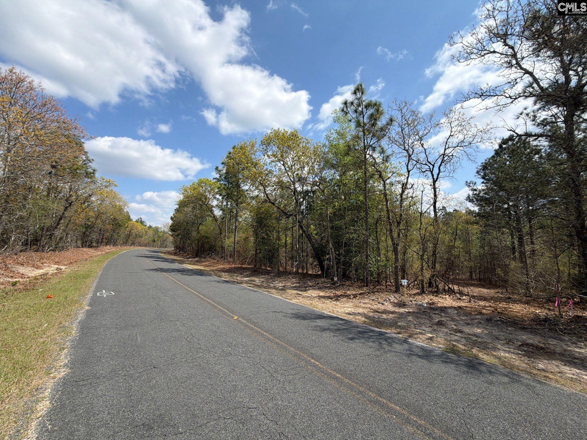 3 Mt Calvary Rd Ridge Spring Ridge Spring, SC 29129 - Photo 3 of 27