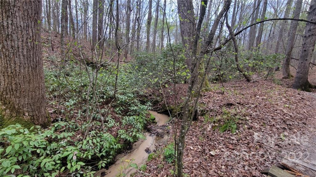 22 Boy Scout Road Lincolnton, NC 28092 - Photo 12 of 27 Gallery Image 12