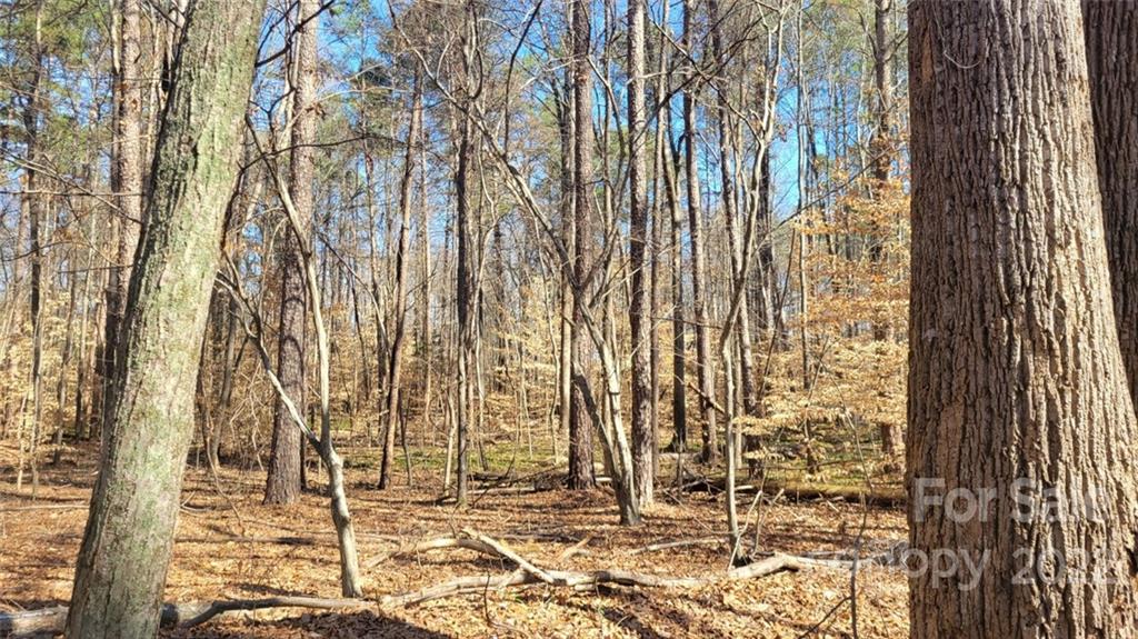 22 Boy Scout Road Lincolnton, NC 28092 - Photo 13 of 27 Gallery Image 13